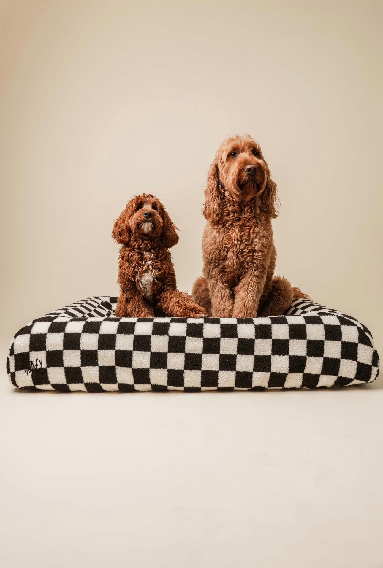 Black & White Checkered