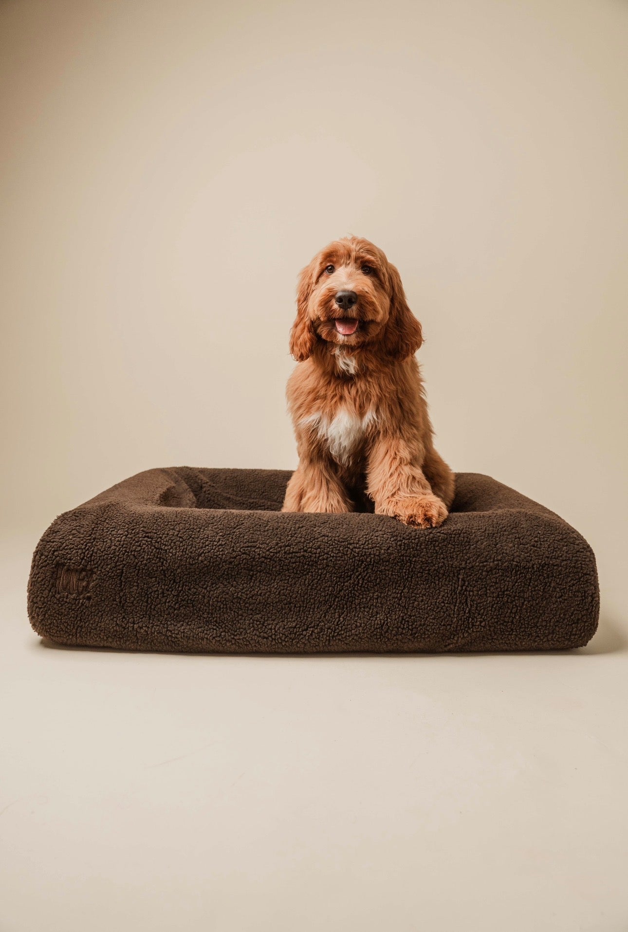 Mocha Brown Cover